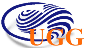 UUDAMGOVIINGEREL LLC