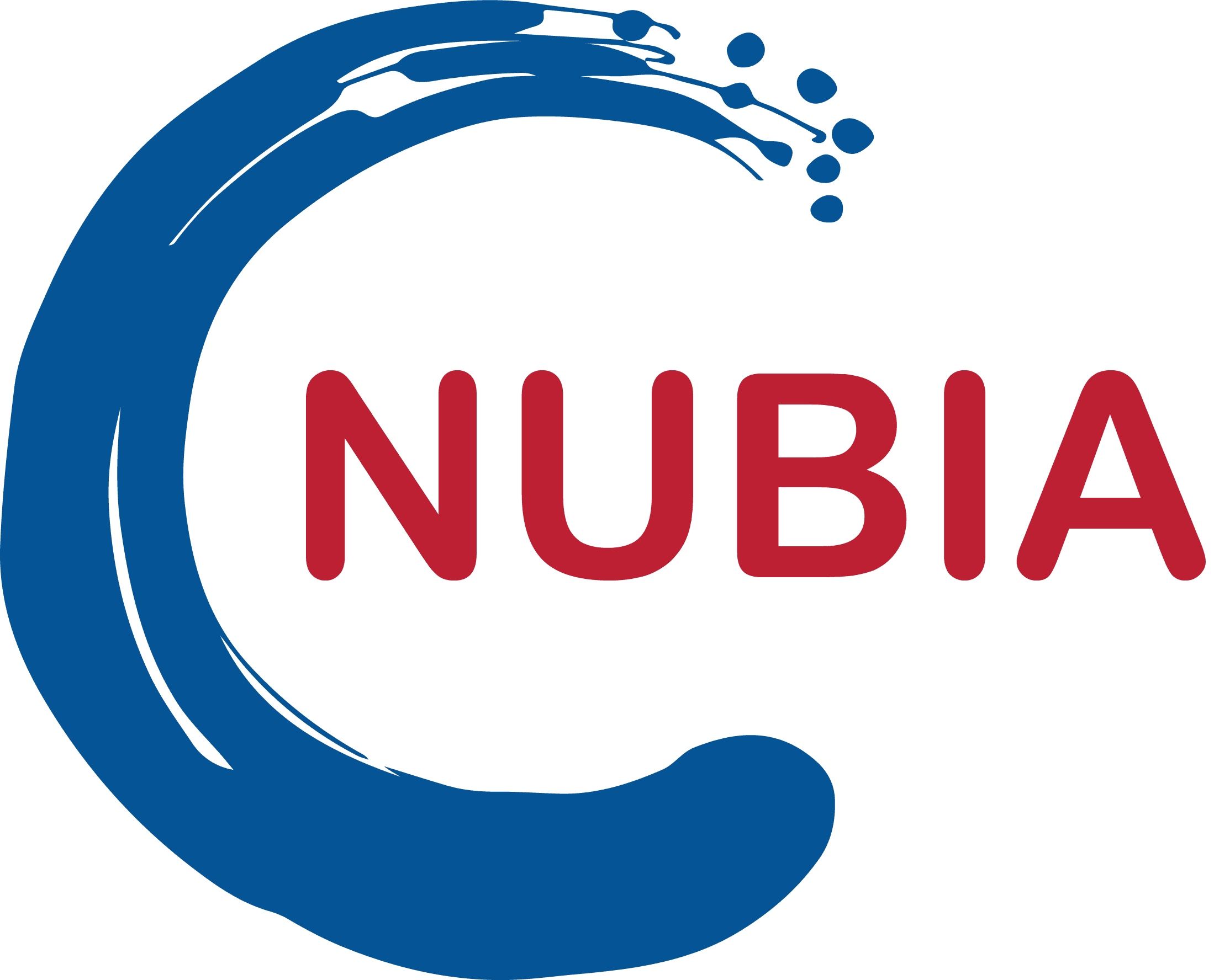 New Ulaanbaatar International Airport LLC