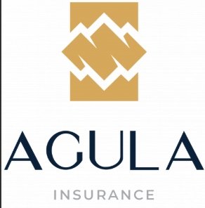 Agula daatgal