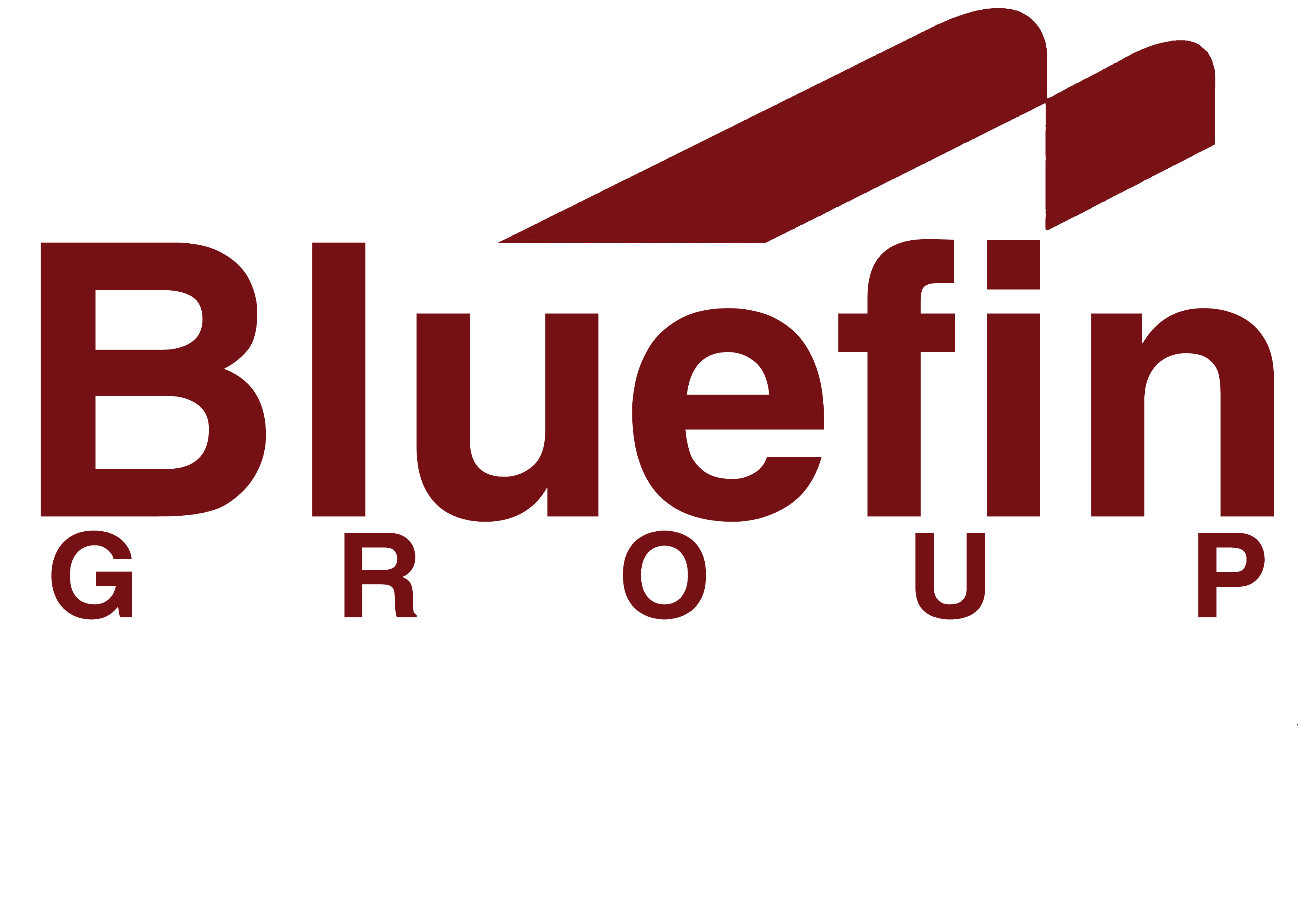 Блүфин групп ХХК